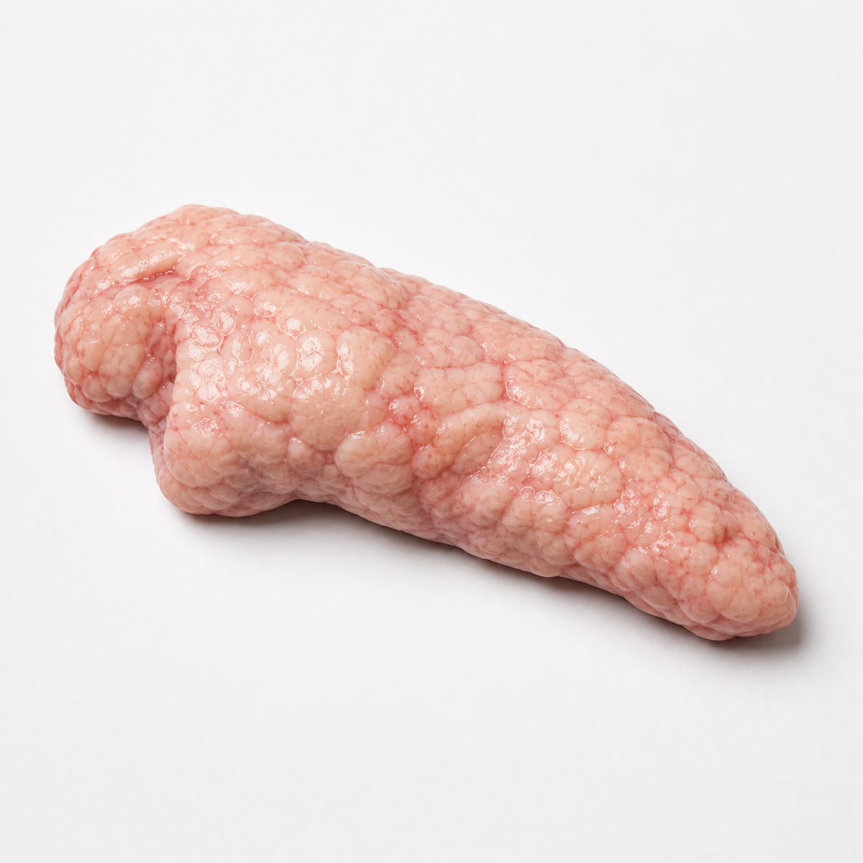 Beef Pancreas