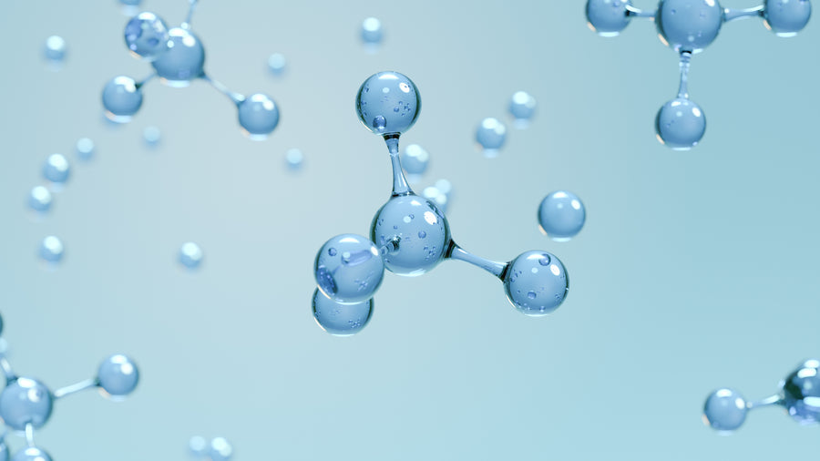 Type II Collagen